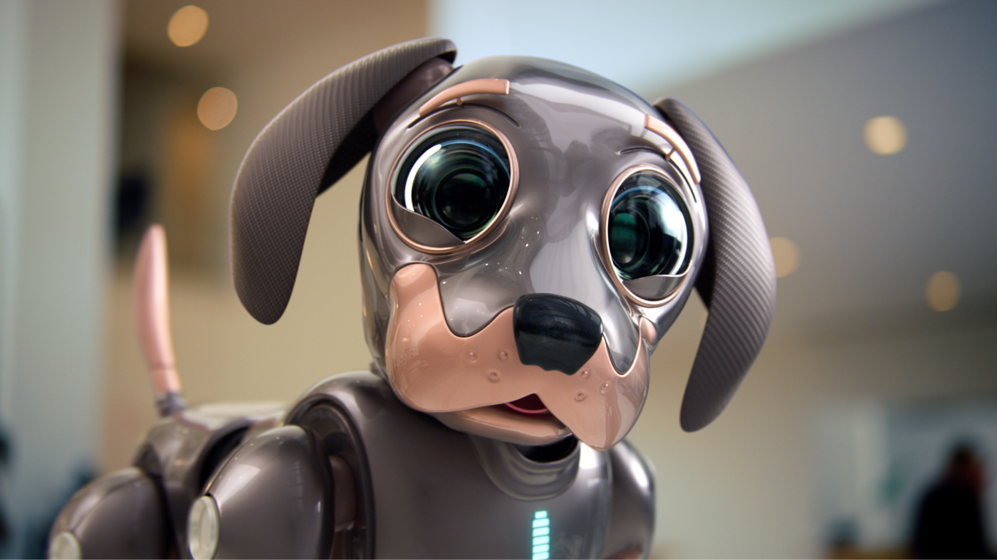 Kia-Robo-dog-Tile-Desktop