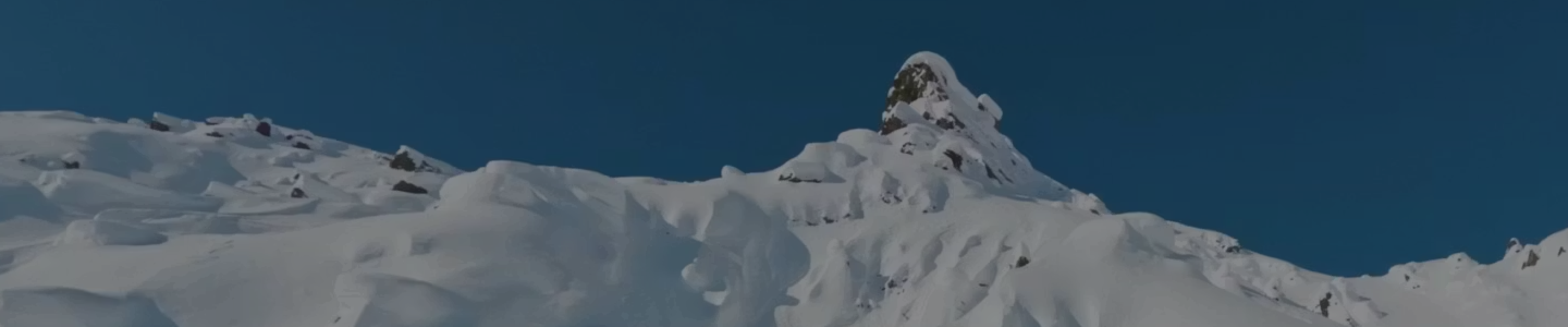 Natural-Selection-Next-Project-Desktop-2