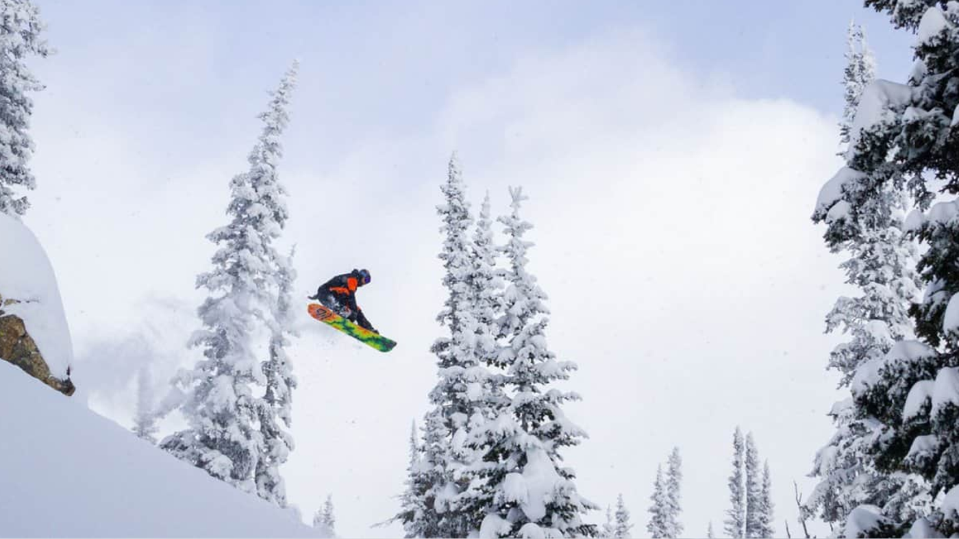 Natural-Selection-Tile-Desktop